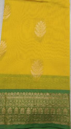 PL BIG BUTTA SAREE